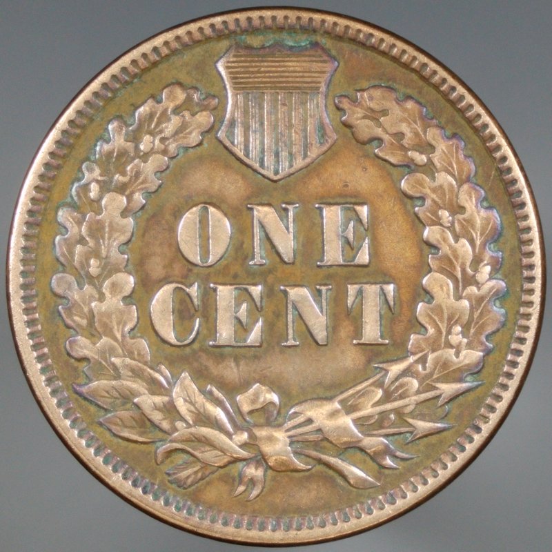 1889-Indian-For-Grading-Please