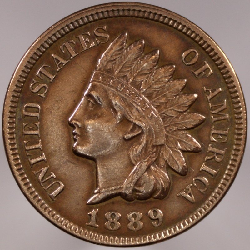 1889-Indian-For-Grading-Please