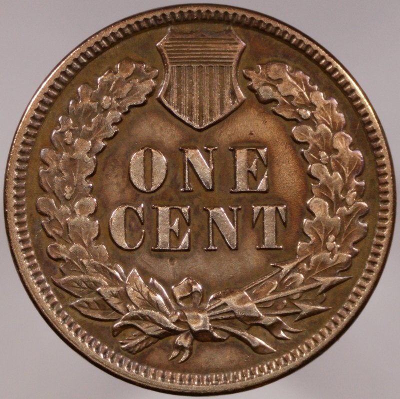 1889-Indian-For-Grading-Please