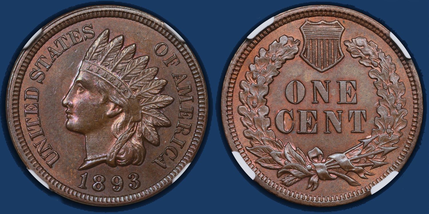 Continuing-List-To-Show-Everyones-Latest-Acquisitions