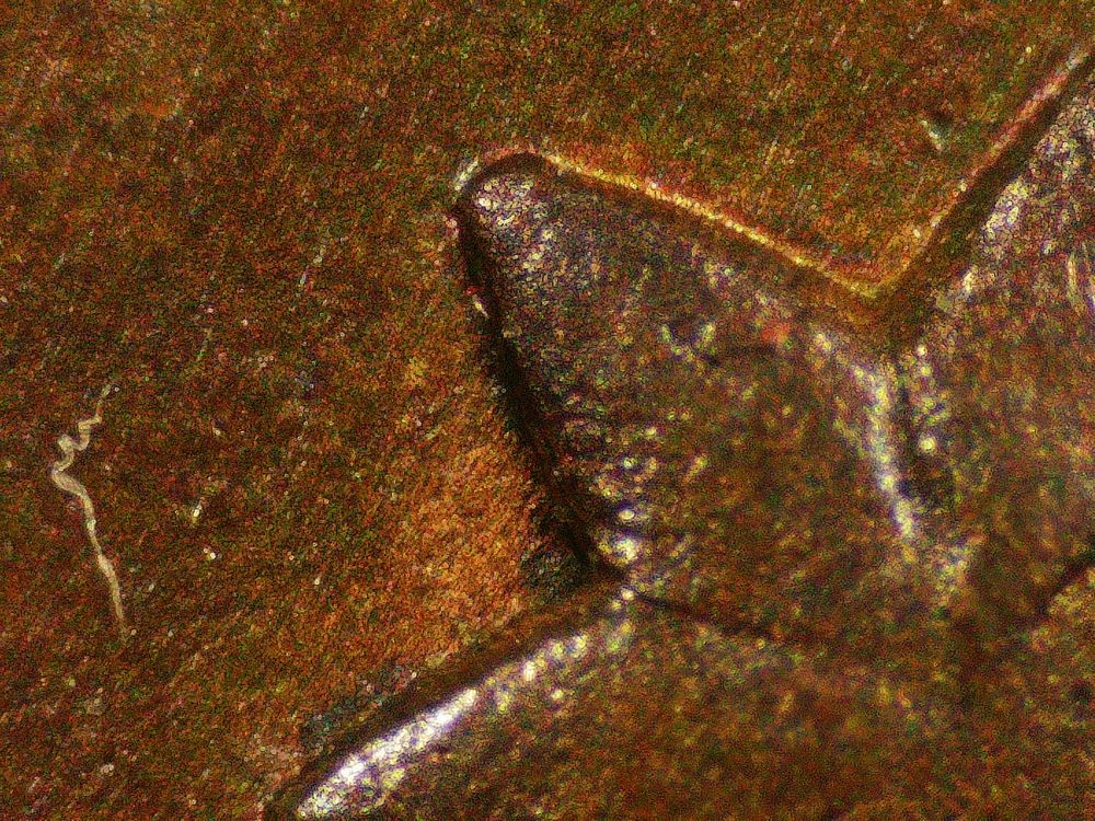 1847-Large-Cent---Opinions-Please
