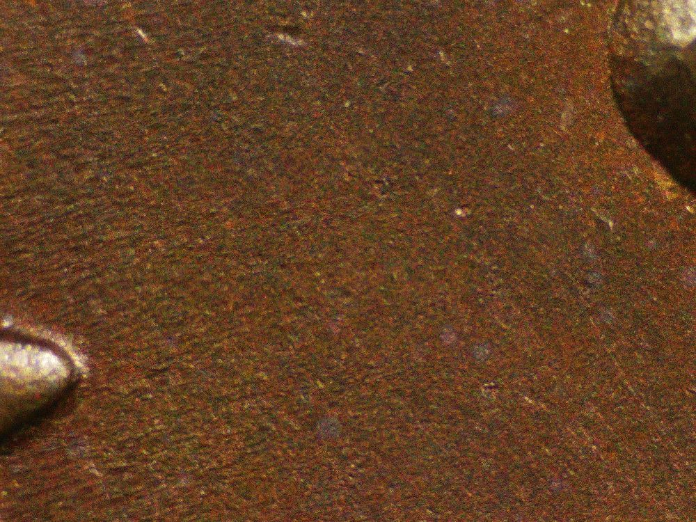 1847-Large-Cent---Opinions-Please