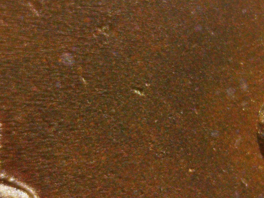 1847-Large-Cent---Opinions-Please