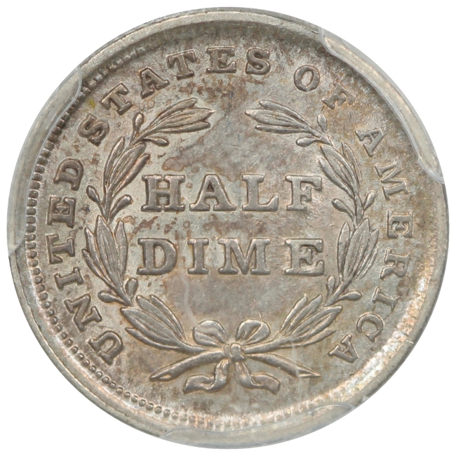 Continuing-List-To-Show-Everyones-Latest-Acquisitions