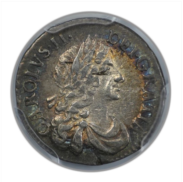 Continuing-List-To-Show-Everyones-Latest-Acquisitions