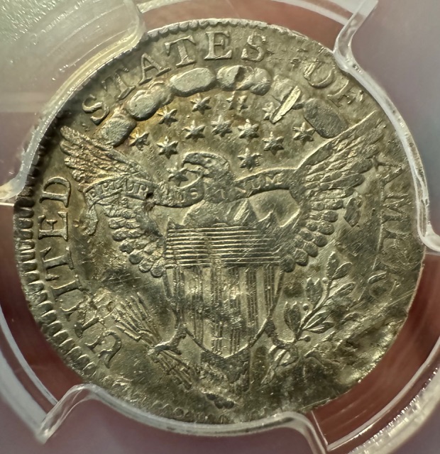 Continuing-List-To-Show-Everyones-Latest-Acquisitions