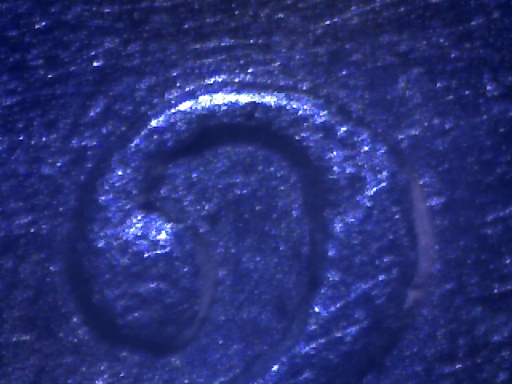 1892-Five-Cent