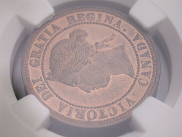 1876-H-Grading