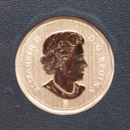 Is-Thie-A-Mule-Loonie?