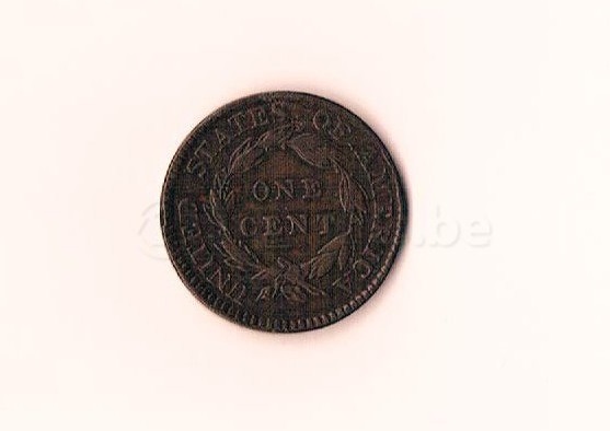 Fake-/Real?-Looking-2-Purchase-Large-1817-Cent