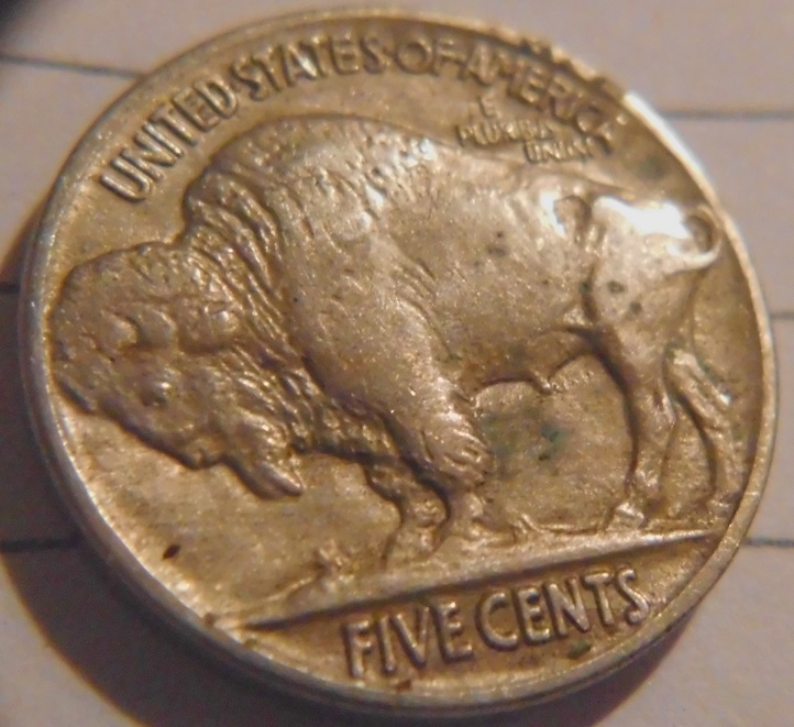 1917-Buffalo-Nickel-,-Die-Clash?-Please-Take-A-Look