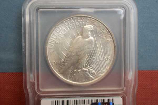 I-Just-Got-Some-Silver-Dollars-Back-From-ICG....any-Thoughts