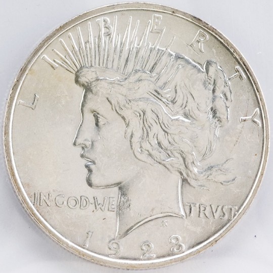 1923-D-Peace.......is-That-A-Planchet-Flake?-Or-Damage?