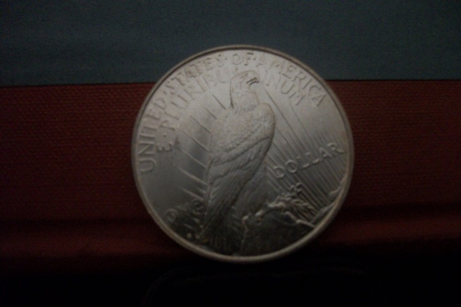 1923-D-Peace.......is-That-A-Planchet-Flake?-Or-Damage?