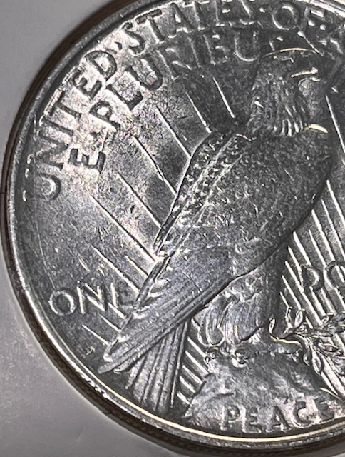 1922-D---Die-Cracks-All-Over-This-Coin