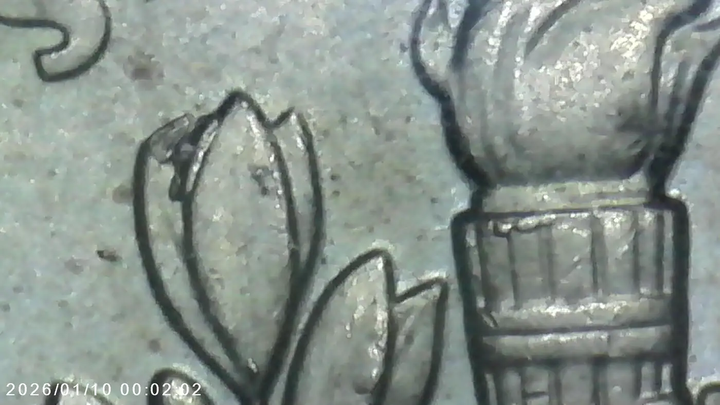 2017-P-Roosevelt-Dime---Die-Chips-/-Internal-Die-Crack