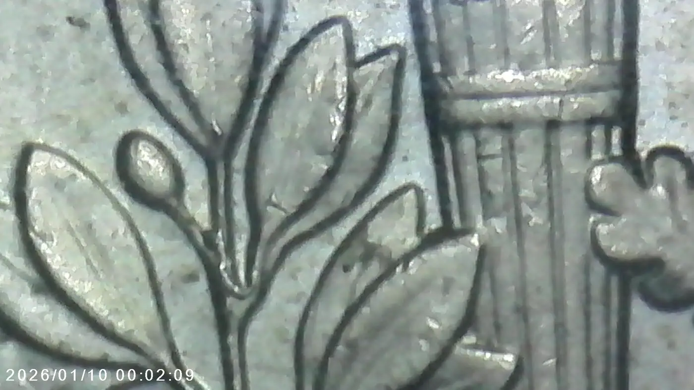 2017-P-Roosevelt-Dime---Die-Chips-/-Internal-Die-Crack