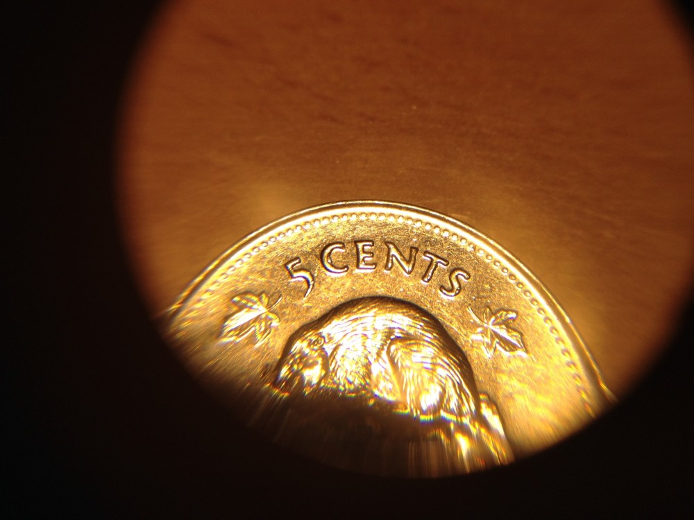 2001-5-Cent-Needs-Info