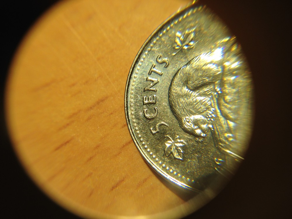 2001-5-Cent-Needs-Info