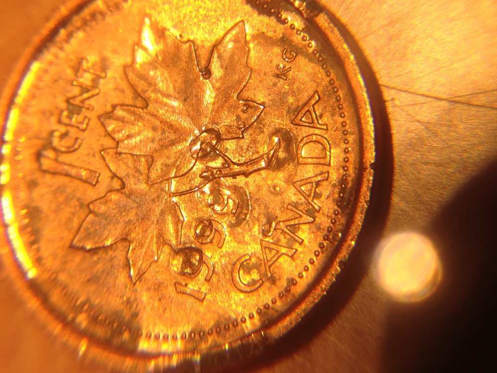 1999-1-Cent-Weird