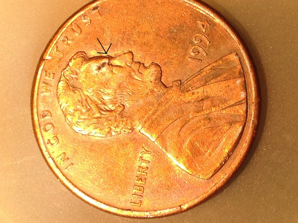 1994-Penny-Forehead