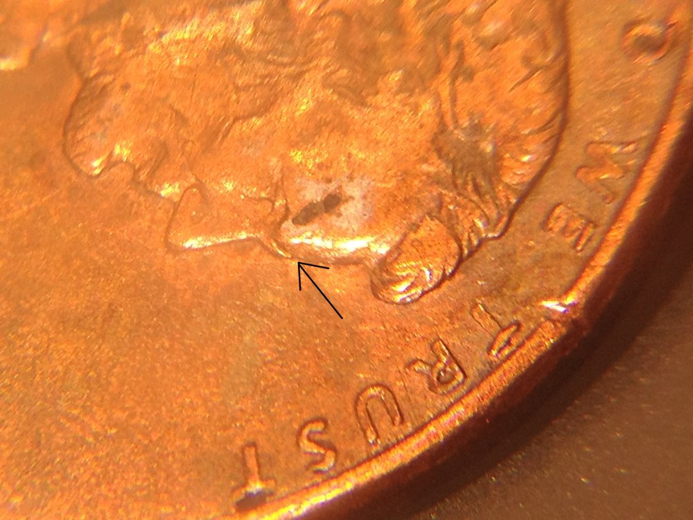 1994-Penny-Forehead