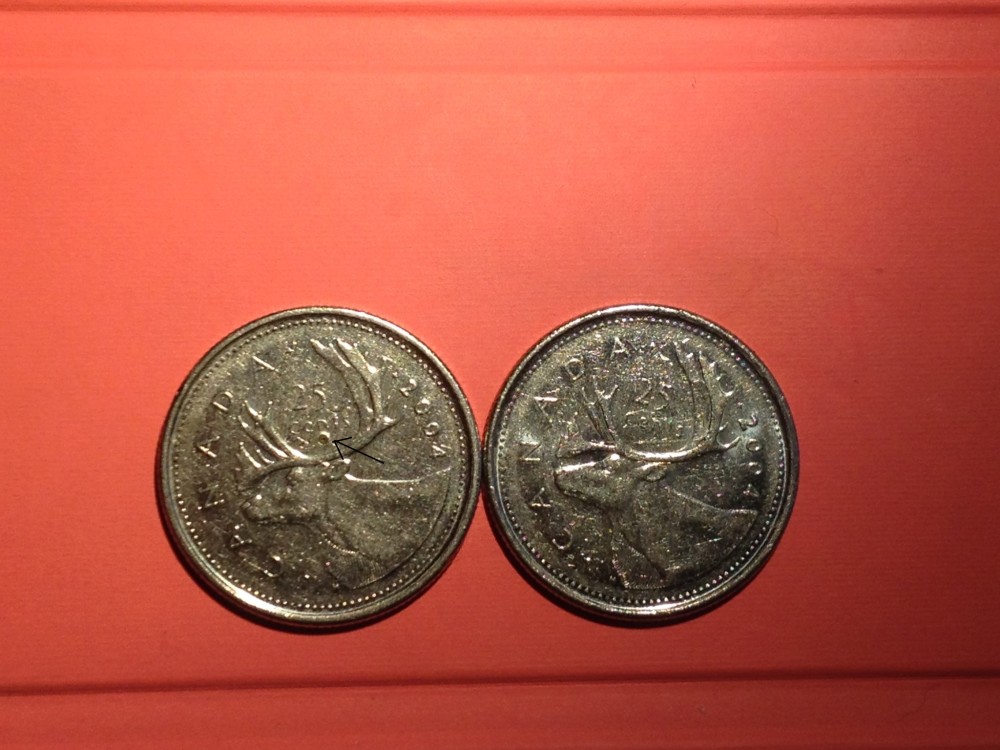 2004-P-Quarter-Has-2-Variety?-Someone-Make-A-Hole-On-It?