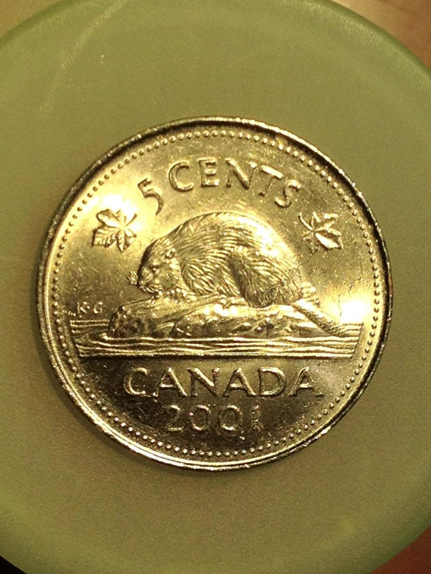 2001-5-Cents-Double-Or-Worn-Die?