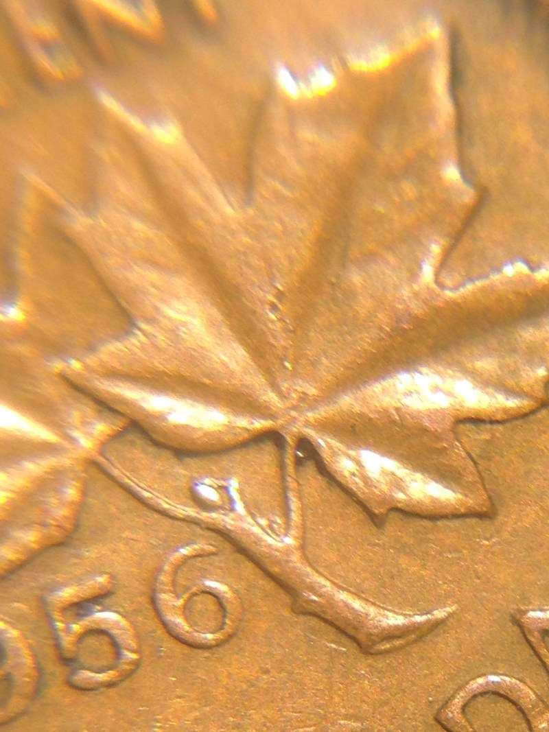 1956-Penny-Cud-Double-Buds-Extra-Metal-In-Stem-Rotated