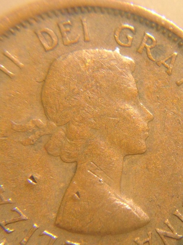 1956-Penny-Cud-Double-Buds-Extra-Metal-In-Stem-Rotated