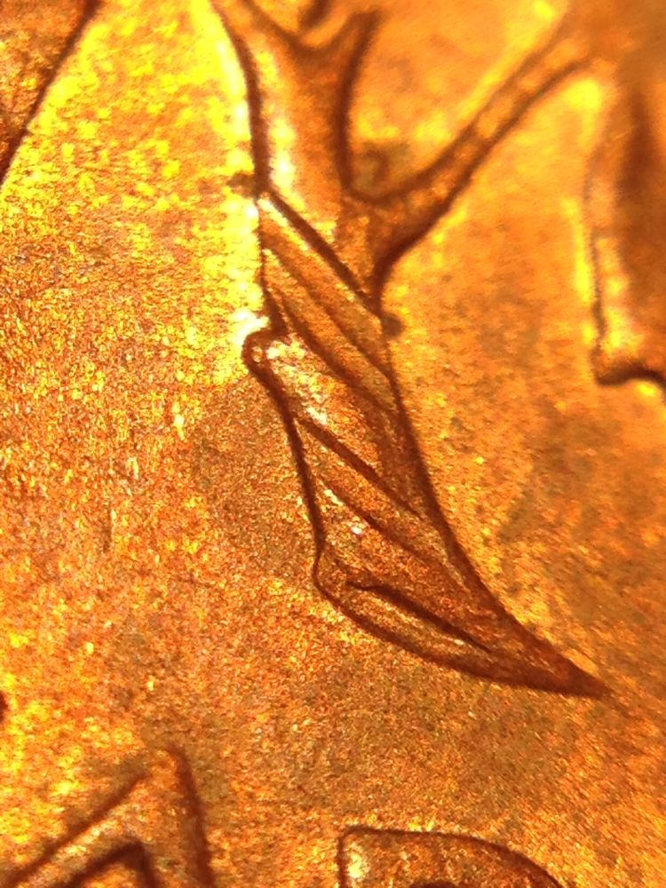 1981-Cent-What-Kind-Of-Error-Is-This?