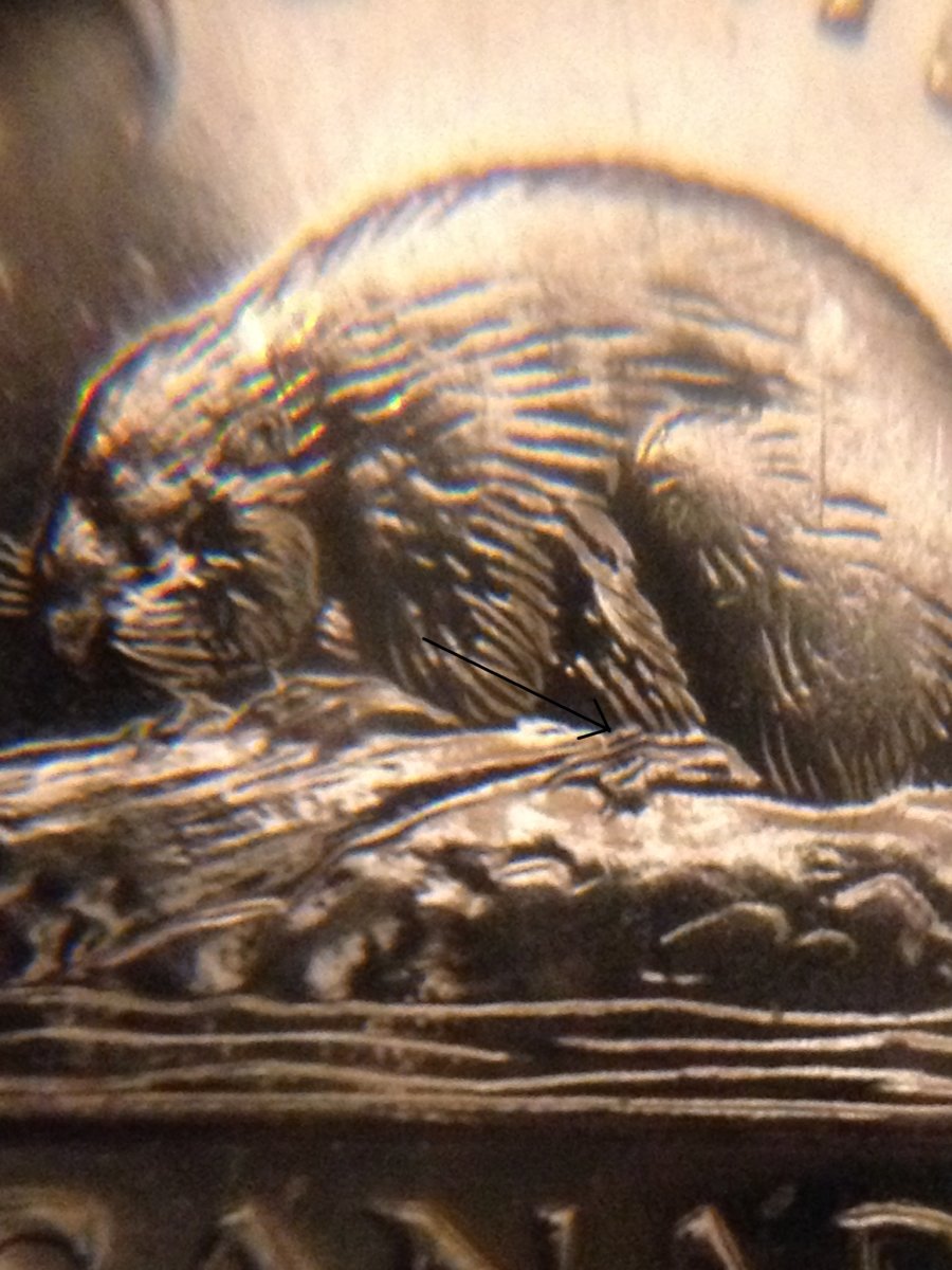1965-5-Cents-Extra-Claw?