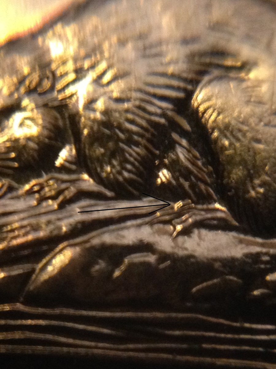 1965-5-Cents-Extra-Claw?