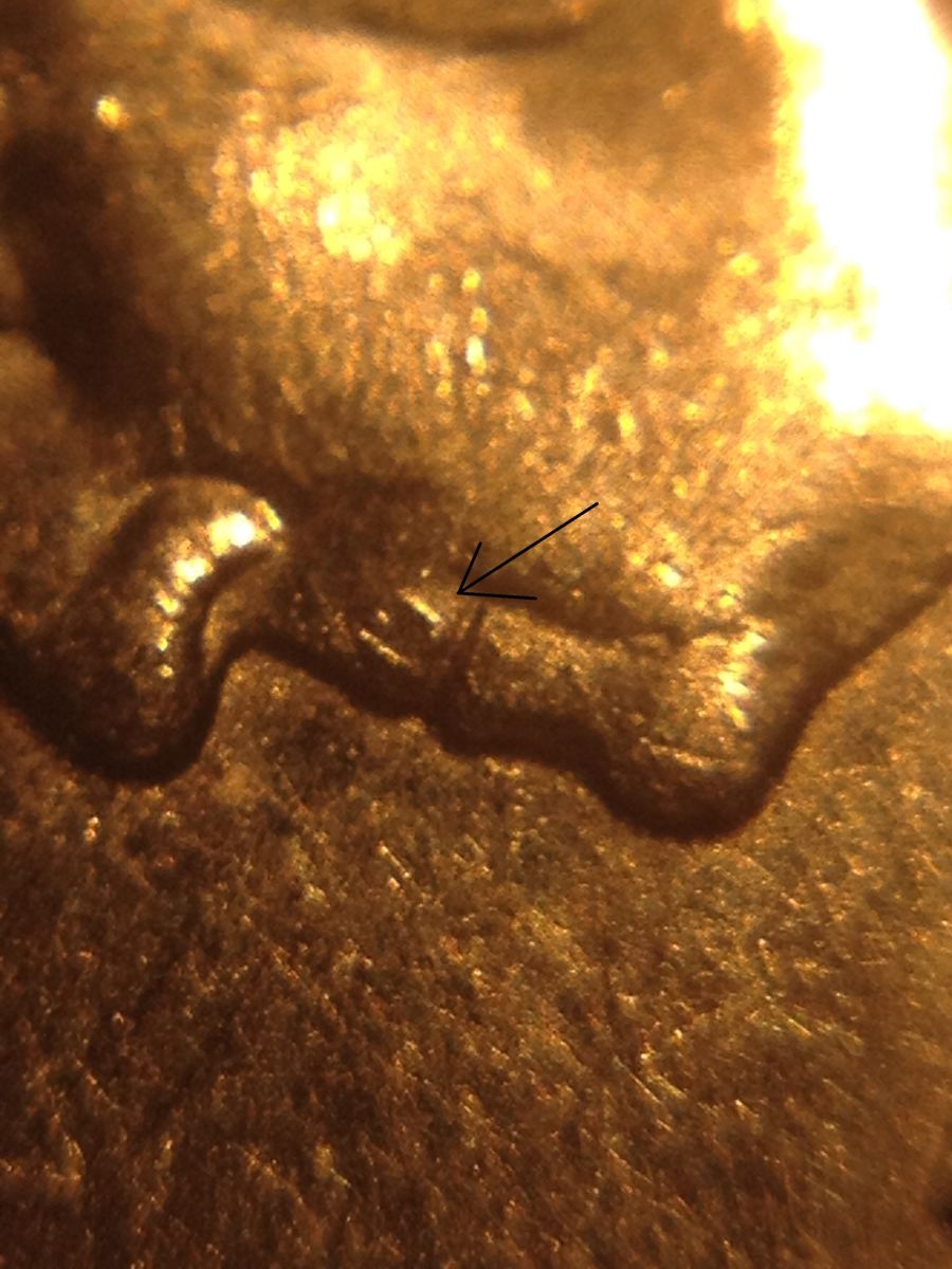 2008-P-Quarter-New-Mexico-Normal-Or-Error?