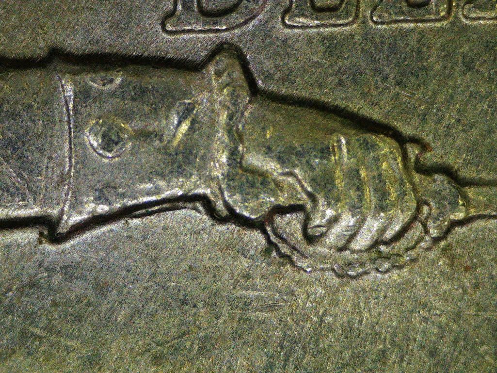 2021-P-Wexler-De-WDDR-025