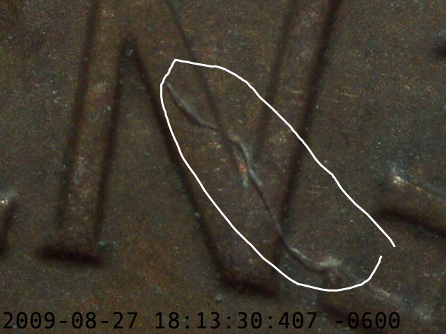Newbie:-What-Is-It?-Picture-Attached