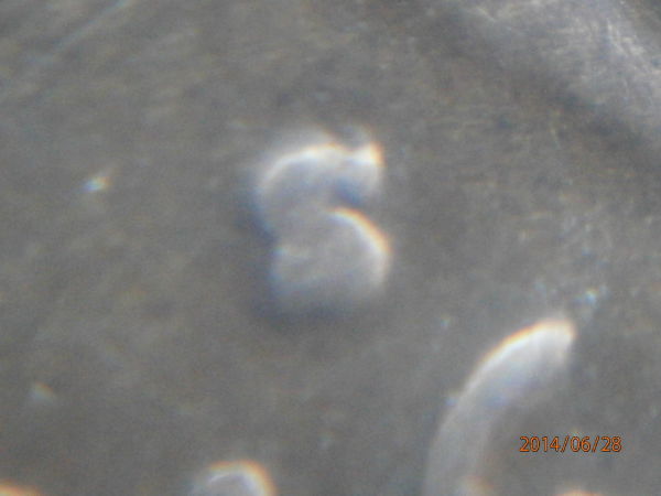 1918-S-Double-Die-Finally-Found?-Mint-Mark-Picture-Up-Date