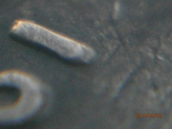 1918-S-Double-Die-Finally-Found?-Mint-Mark-Picture-Up-Date