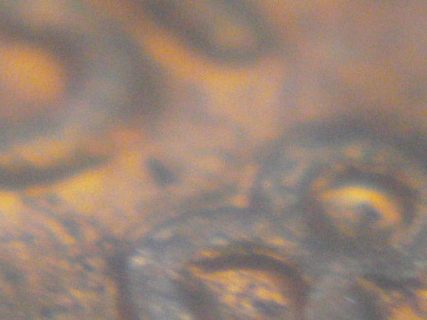 1958-P-Double-Die-