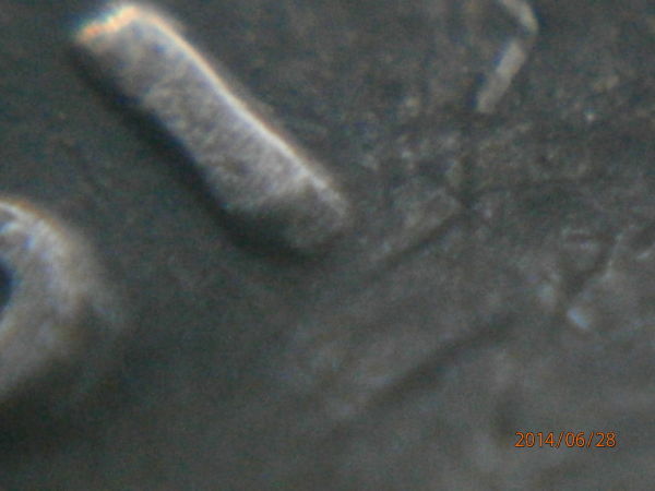 1995-P-Double-Die-Obverse?-Possible-New-Find-Update!