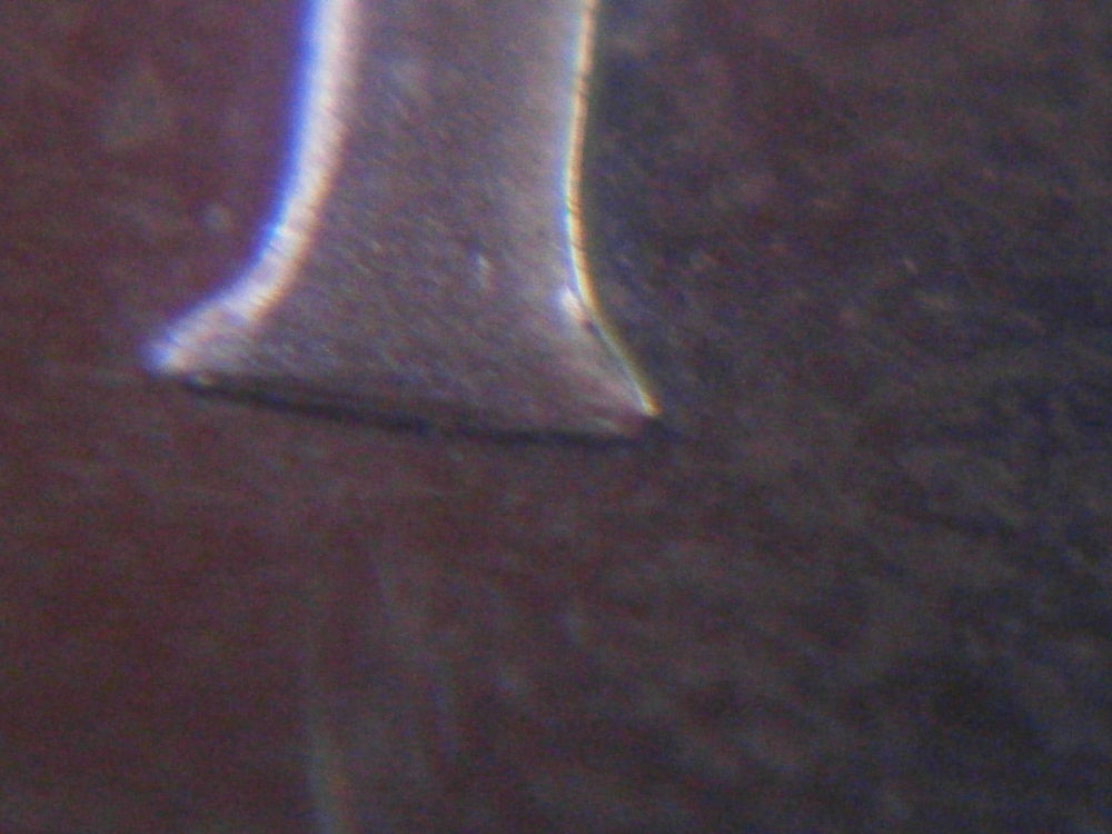 1973-20-Balboas-Double-Die-!,--Reverse-As-Well