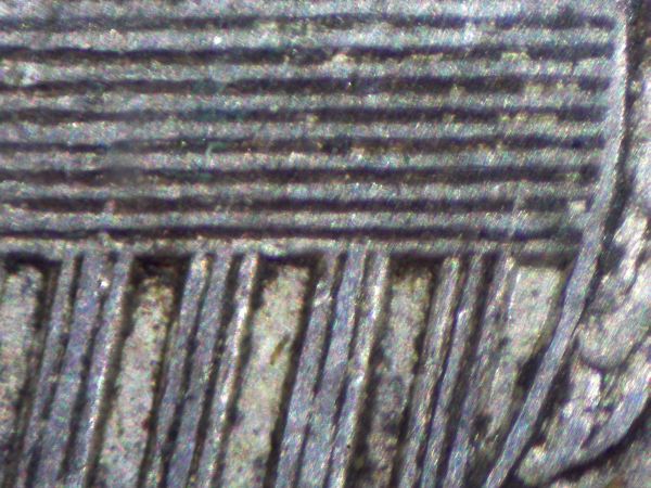 32-Day-Extravaganza-Of-Capped-Bust-Coins!!