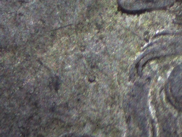 32-Day-Extravaganza-Of-Capped-Bust-Coins!!