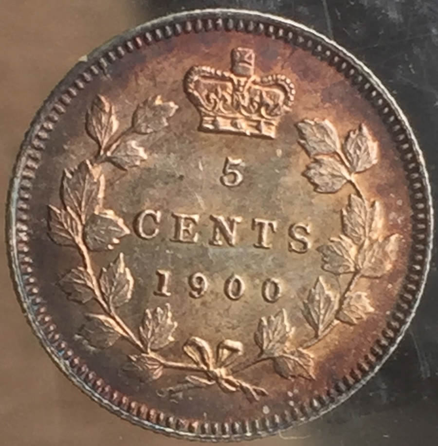 NGC-1900-5c-'Large-Date'....is-It?