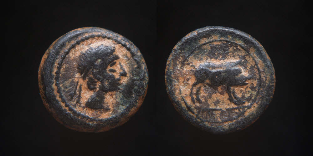The-12-Olypians-And-Other-Gods...apollo