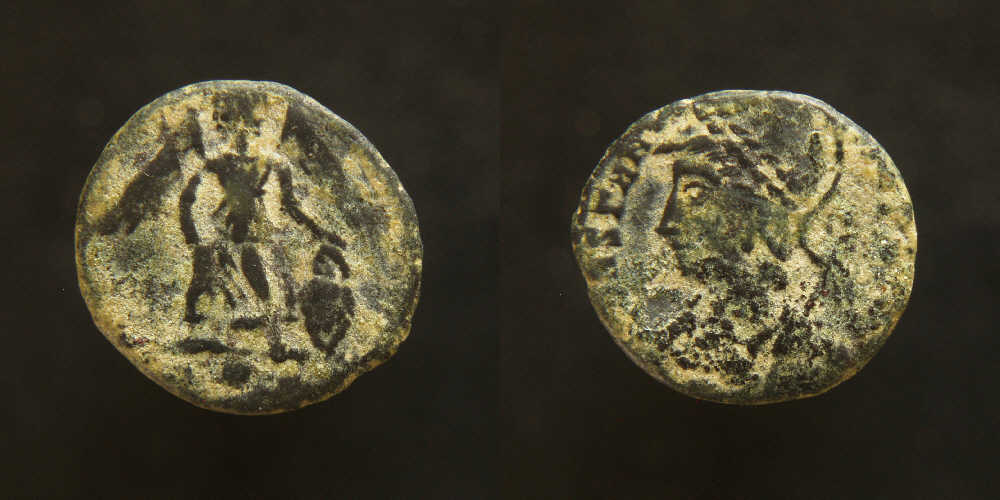 Constantinopolis-Barbs