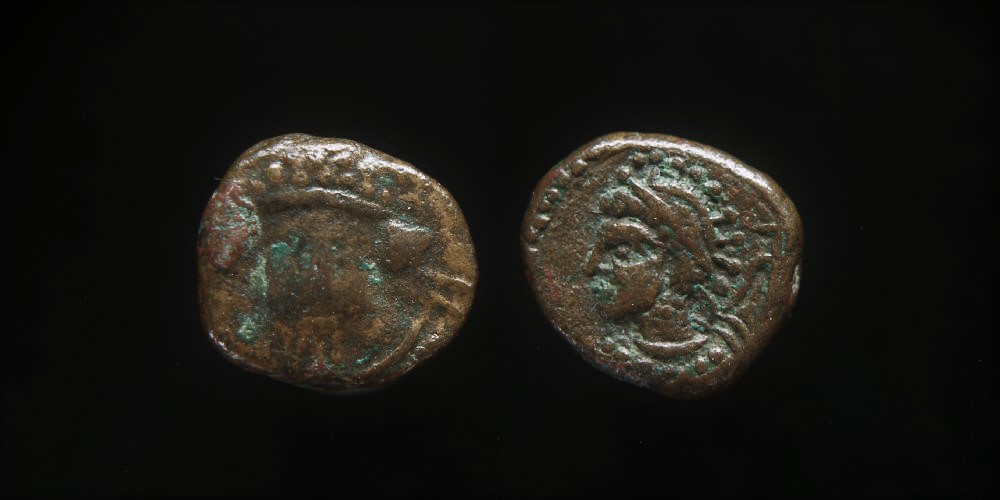 Slow-Night,-So-Here's-A-Recent,-Modest,-And-Cheap-Pickup-Elymais