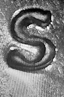 1970-S-Lincoln-Cent-RPM?