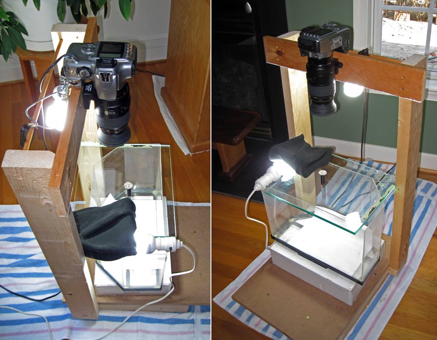 White-Background-Photo-Rig
