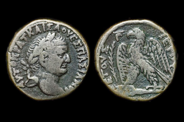 Nero-Buy